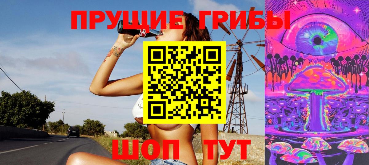 Галлюциногенные грибы Psilocybine cubensis  Вход с VPN  Бузулук  Галлюциногенные грибы Psilocybine cubensis 